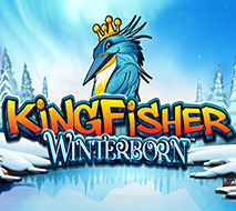 Kingfisher Winterborn